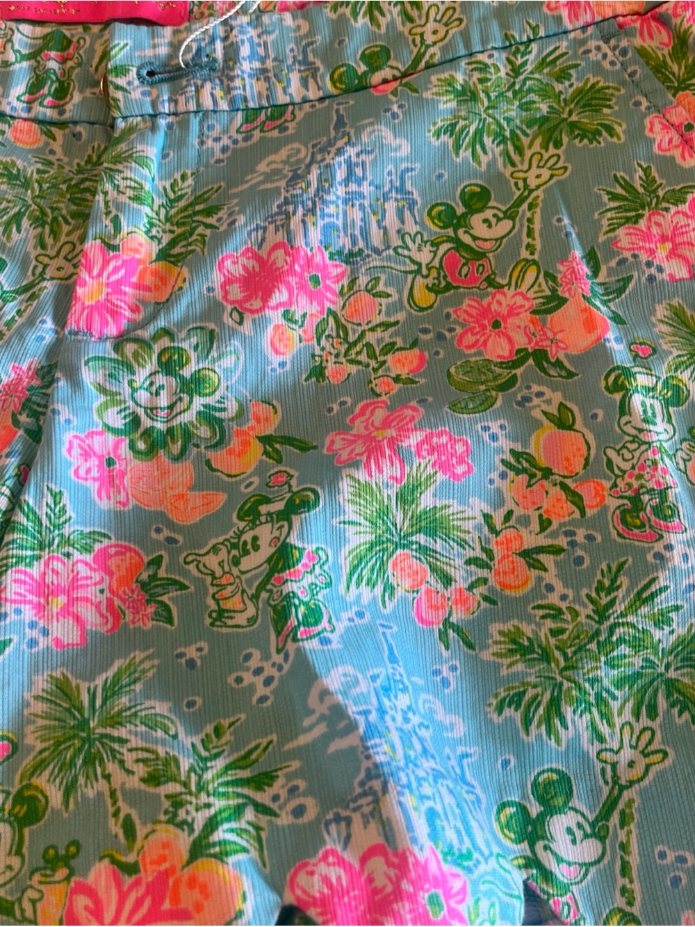 Lilly Pulitzer x Disney Buttercup Lilly Loves Disney Shorts Women’s Size 14 EUC - Picture 2 of 8